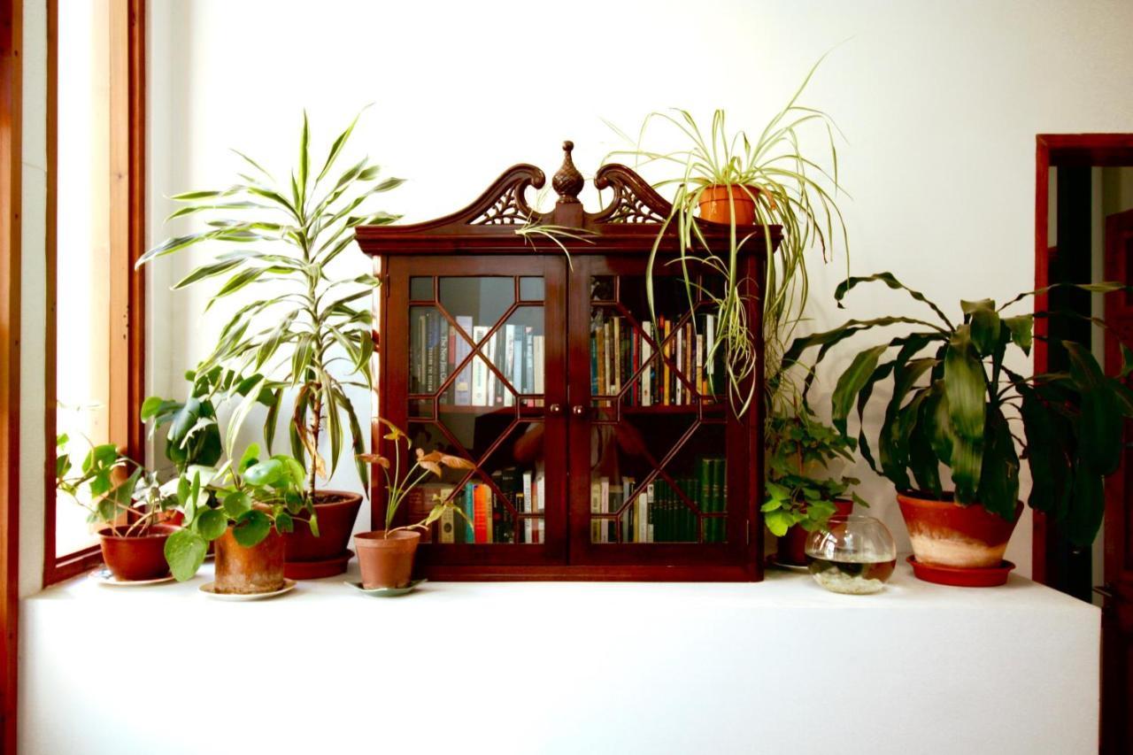 Casa California Guesthouse 발파라이소 외부 사진